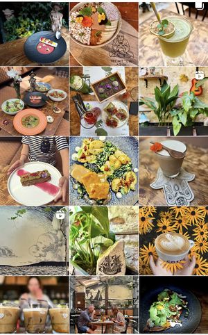   at Pandora Greenbox in Split