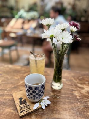   at Pandora Greenbox in Split