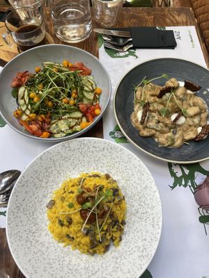 Bjork salad, mushroom risotto, and gnocchi   at Pandora Greenbox in Split