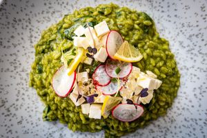   at Pandora Greenbox in Split