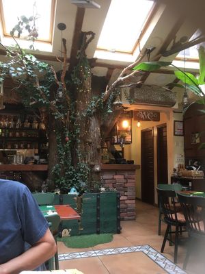 Cute and quirky at Pandora Greenbox in Split