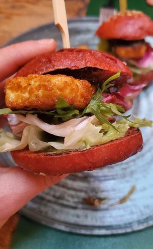 Slider at Pandora Greenbox in Split