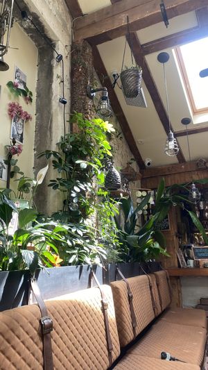   at Pandora Greenbox in Split