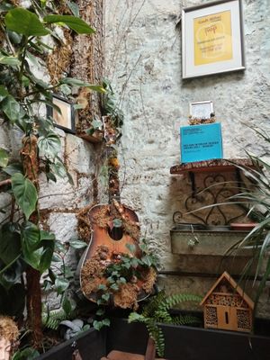  at Pandora Greenbox in Split