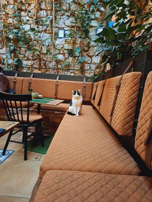  at Pandora Greenbox in Split