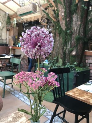 Decor in Pandora’s  at Pandora Greenbox in Split