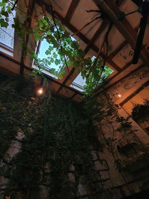 Interior!!! at Pandora Greenbox in Split