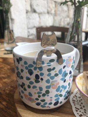 Tea-  at Pandora Greenbox in Split