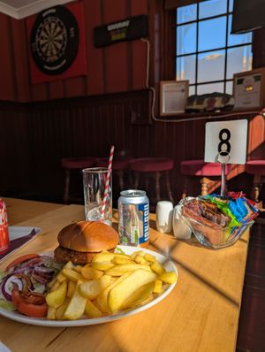 Vegan burger and chips  at Highland Getaway in Kinlochleven