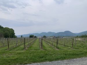   at Cafe Goryo in Furano