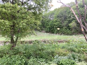   at Cafe Goryo in Furano