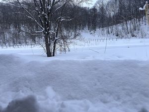   at Cafe Goryo in Furano