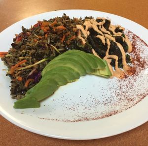 Raw Vegan Steak Terriyaki at Green Wave Cafe in Plantation