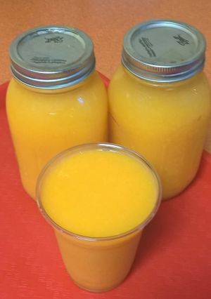 Fresh Squeezed Orange Juice at Green Wave Cafe in Plantation