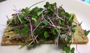 Open Face Hummus Hors d'oeuvre with Kale Micro-Greens at Green Wave Cafe in Plantation