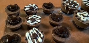 Raw Vegan Mini Bite Size Cheesecakes at Green Wave Cafe in Plantation