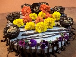 Raw Vegan Edible Flower Celebration Cheesecake at Green Wave Cafe in Plantation