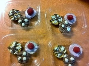 Raw Vegan Mini Bite Size Cheesecake Sampler at Green Wave Cafe in Plantation