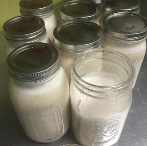 Raw Vegan Fresh Pressed Almond Milk at Green Wave Cafe in Plantation