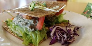 "Tuna" melt at Green Wave Cafe in Plantation