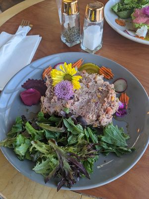  at Baby Birds in Las Vegas