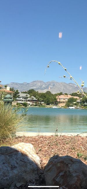 View from inside cafe👍🏻 nice lake☺️ at Baby Birds in Las Vegas