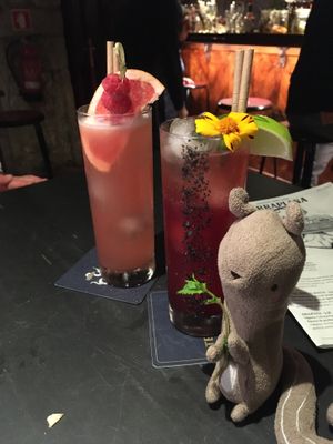   at TerraPlana Café in Porto