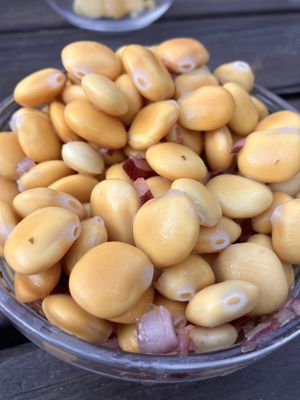 Tremoços - Lupini beans  at TerraPlana Café in Porto