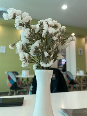   at Dr Veggie in Yerevan