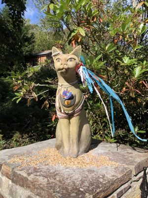 Bastet at St Nectan's Glen in Tintagel