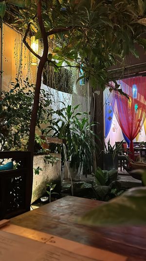 Refreshing Indoor Plants & Spring of Water at Shamballa Vegetarian Restaurant & Tea House in Ho Chi Minh City