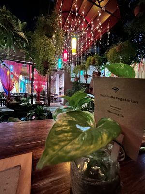 Nice & cozy corner at Shamballa Vegetarian Restaurant & Tea House in Ho Chi Minh City