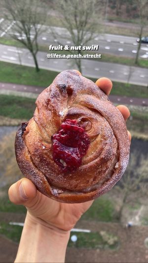 Fruit and nut swirl  at Life's a Peach in Utrecht
