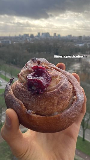 Fruit and nut swirl  at Life's a Peach in Utrecht