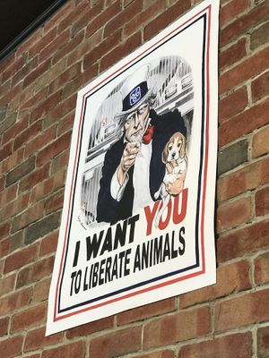 Insidr at Saigon Vegan in Garden Grove