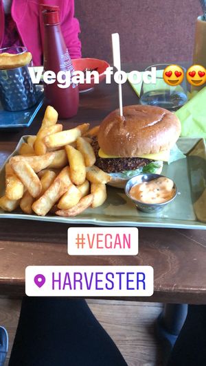 My vegan burger ‘beyond bean burger’.  at The Dog in Stratford-upon-avon