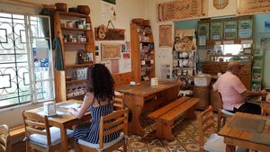 Indoor at Beirut Bio Centre in Beirut