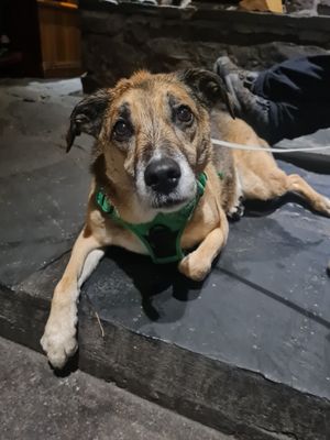  at The Clachaig Inn in Ballachulish