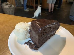 Vegan chocolate fudge cake with (mediocre) dairy free ice cream at The Top House Inn in Helston