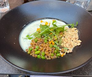Vegan green curry - part of vegan three course menu  at La Cabane  in Annecy