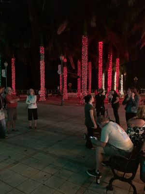 Wednesday Green Market Christmas nights 2020
 at Wednesday Green Market in Fort Pierce