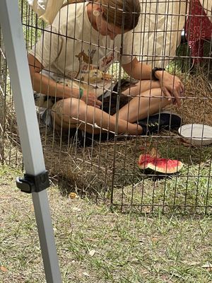 Animal rescue :’) at Jax Veg Fest in Jacksonville