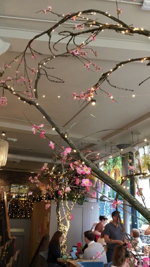 interior at Epicures in Glasgow