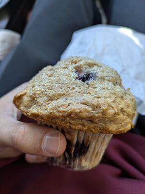 Blueberry muffin (vegan, GF) at The Cackling Goose Market and Bakery Cafe in Sackville