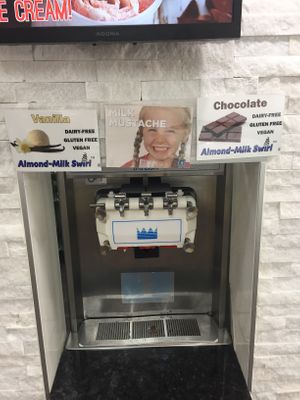 Vegan options at Swirl Fro-Yo in Trenton