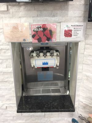 Sorbet options at Swirl Fro-Yo in Trenton