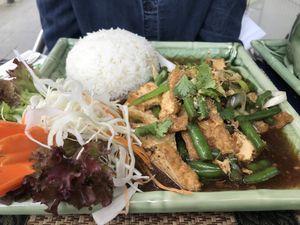 M8 Pad Gra Tiam Prig with tofu (without oyster sauce) at Bai Bua Thai in Wiesbaden
