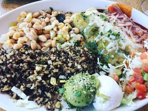 Enchilada plate - delish! at Charro Vida in Tucson