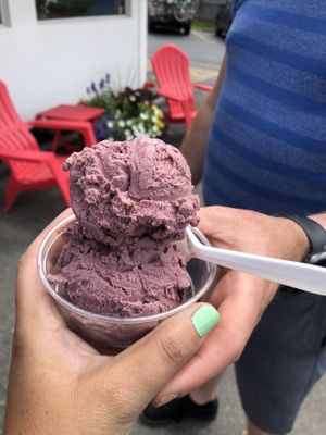 Black Raspberry vegan ice cream   at Seneca Farms in Penn Yan