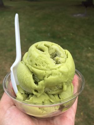 Matcha Green Tea ice cream  at Seneca Farms in Penn Yan